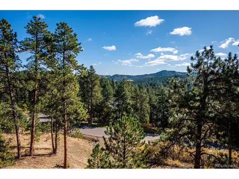 21401 Spinning Wheel, Morrison, CO 80465 photo 36