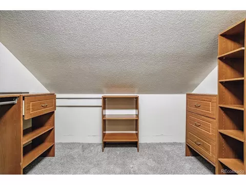 21401 Spinning Wheel, Morrison, CO 80465 photo 19