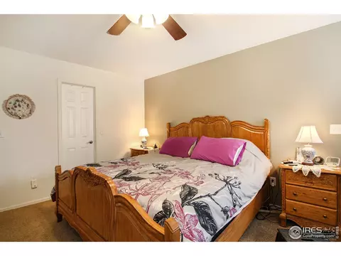 305 Windflower Way, Severance, CO 80550 photo 8