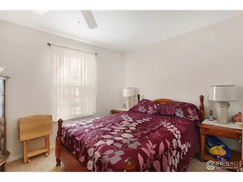 305 Windflower Way, Severance, CO 80550 photo 19