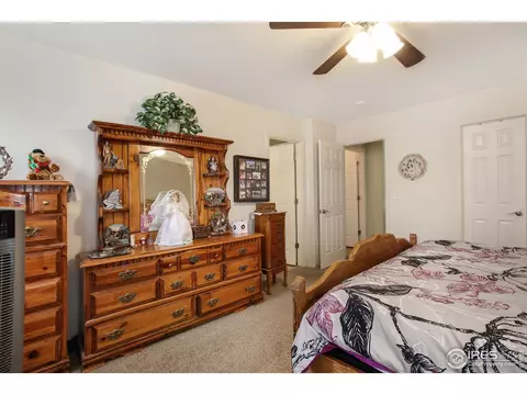 305 Windflower Way, Severance, CO 80550 photo 9