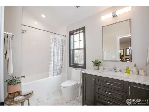 802 E Myrtle St, Fort Collins, CO 80524 photo 20