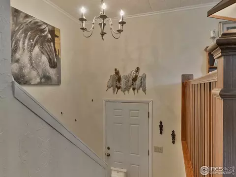 2820 Pheasant Run, Berthoud, CO 80513 photo 5