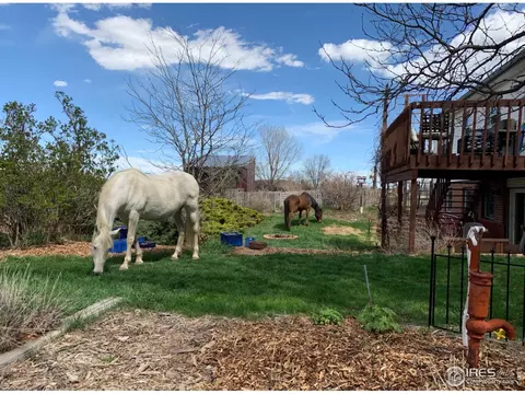 2820 Pheasant Run, Berthoud, CO 80513 photo 1