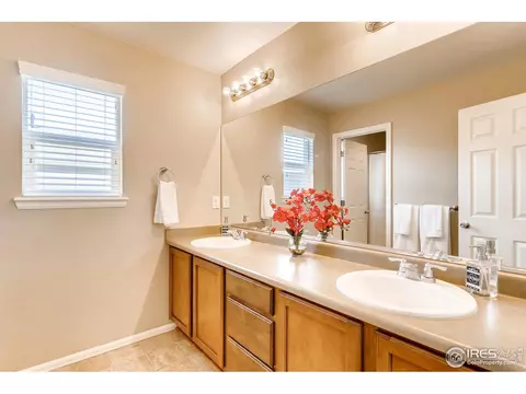 1581 Millfleet Dr, Windsor, CO 80550 photo 23