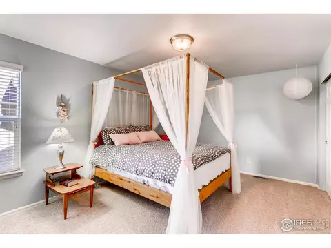 1581 Millfleet Dr, Windsor, CO 80550 photo 19