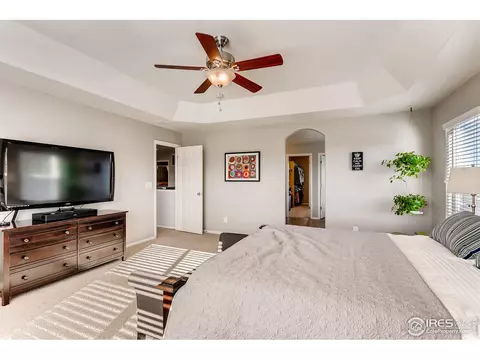 1581 Millfleet Dr, Windsor, CO 80550 photo 16