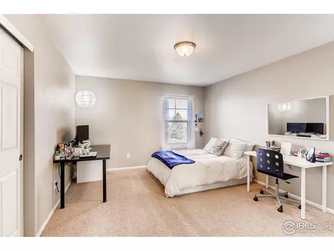 1581 Millfleet Dr, Windsor, CO 80550 photo 20