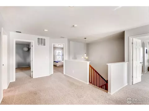 1581 Millfleet Dr, Windsor, CO 80550 photo 24