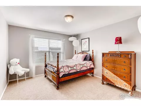 1581 Millfleet Dr, Windsor, CO 80550 photo 21