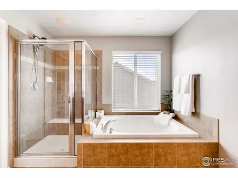 1581 Millfleet Dr, Windsor, CO 80550 photo 18