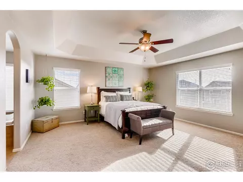 1581 Millfleet Dr, Windsor, CO 80550 photo 15