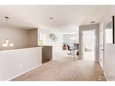 1581 Millfleet Dr, Windsor, CO 80550 photo 22