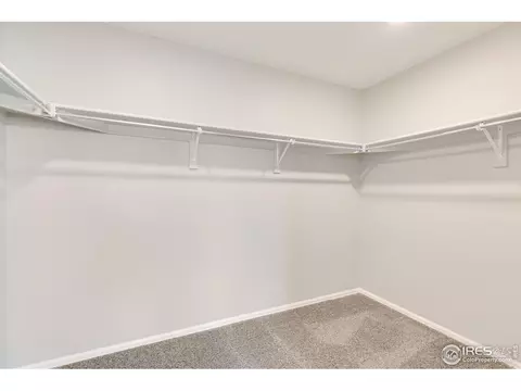 1788 Nightfall Dr, Windsor, CO 80550 photo 24