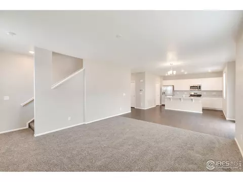 1788 Nightfall Dr, Windsor, CO 80550 photo 4
