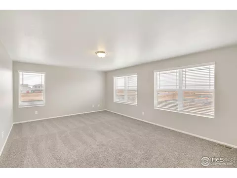 1788 Nightfall Dr, Windsor, CO 80550 photo 20
