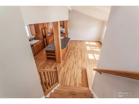7017 E Fair Ave, Centennial, CO 80111 photo 16