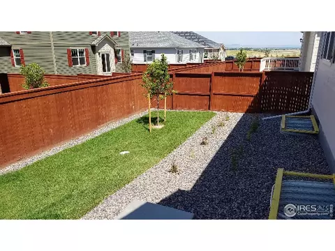 1978 Floret Dr, Windsor, CO 80550 photo 14