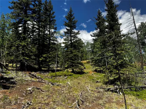 585 Haida Ln, Como, CO 80456 photo 9