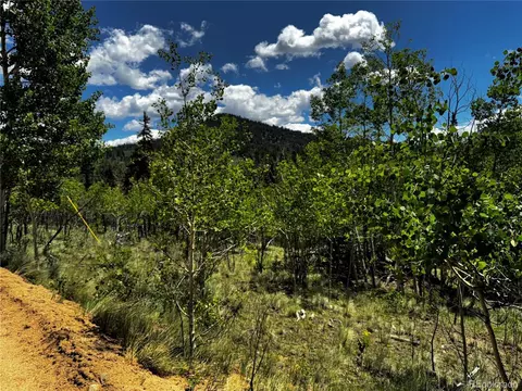 585 Haida Ln, Como, CO 80456 photo 13