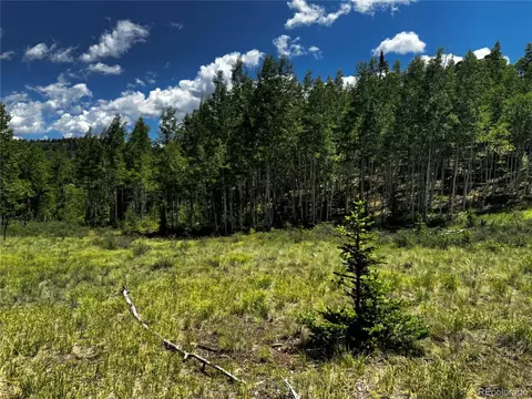 585 Haida Ln, Como, CO 80456 photo 18