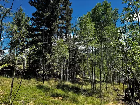 585 Haida Ln, Como, CO 80456 photo 15