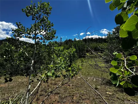 585 Haida Ln, Como, CO 80456 photo 23