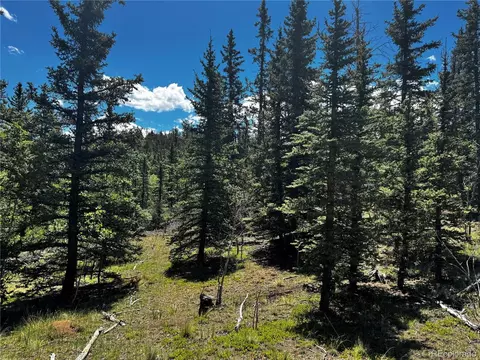 585 Haida Ln, Como, CO 80456 photo 3