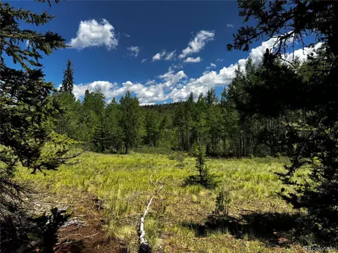 585 Haida Ln, Como, CO 80456 photo 17
