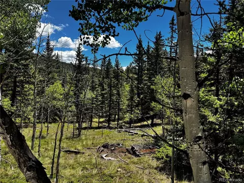 585 Haida Ln, Como, CO 80456 photo 28