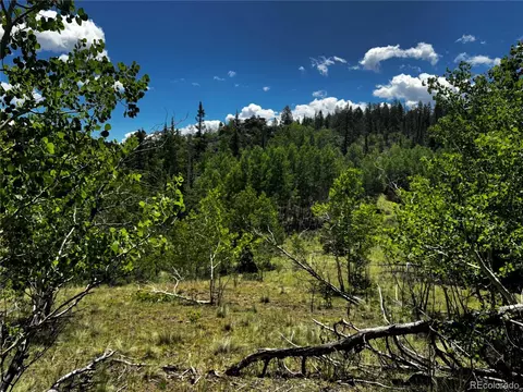 585 Haida Ln, Como, CO 80456 photo 4