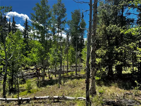 585 Haida Ln, Como, CO 80456 photo 19