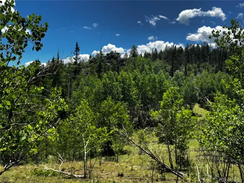 585 Haida Ln, Como, CO 80456 photo 21