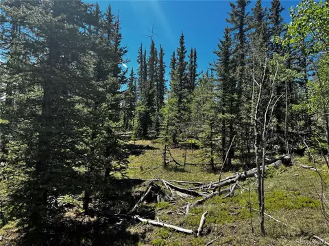585 Haida Ln, Como, CO 80456 photo 14