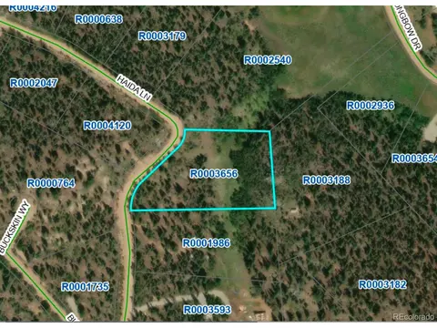 585 Haida Ln, Como, CO 80456 photo 2