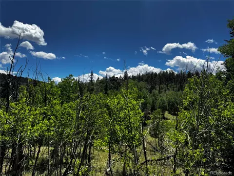 585 Haida Ln, Como, CO 80456 photo 10