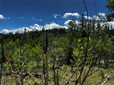 585 Haida Ln, Como, CO 80456 photo 20