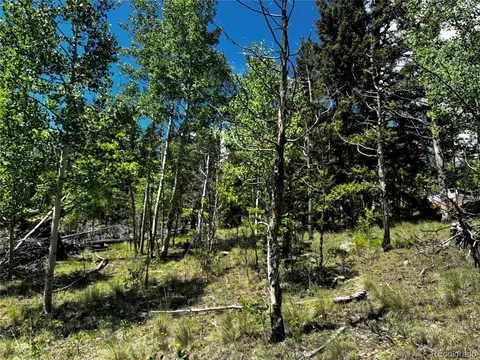 585 Haida Ln, Como, CO 80456 photo 5
