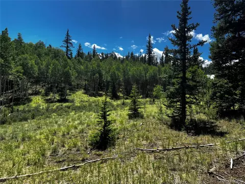 585 Haida Ln, Como, CO 80456 photo 6