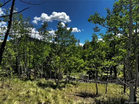 585 Haida Ln, Como, CO 80456 photo 11