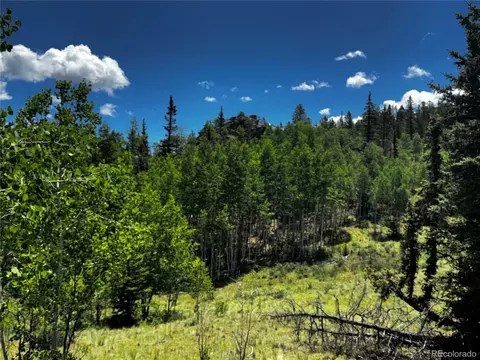585 Haida Ln, Como, CO 80456 photo 25
