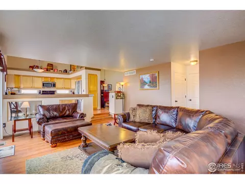 20383 E 48th Pl, Denver, CO 80249 photo 19