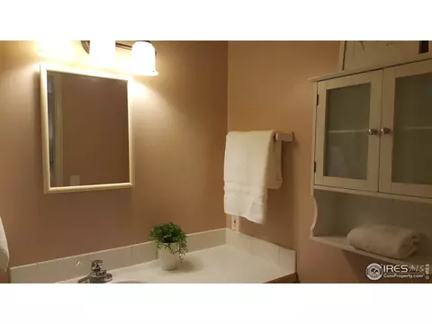 119 Ewald Ave, Lyons, CO 80540 photo 17