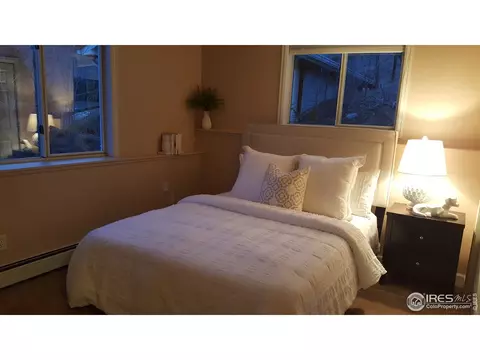 119 Ewald Ave, Lyons, CO 80540 photo 29