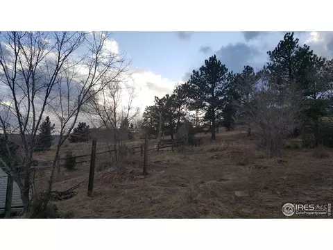 119 Ewald Ave, Lyons, CO 80540 photo 19