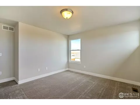 877 Sunlight Peak Dr, Windsor, CO 80550 photo 20