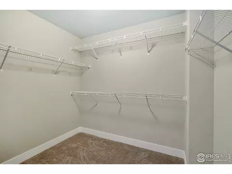 877 Sunlight Peak Dr, Windsor, CO 80550 photo 17