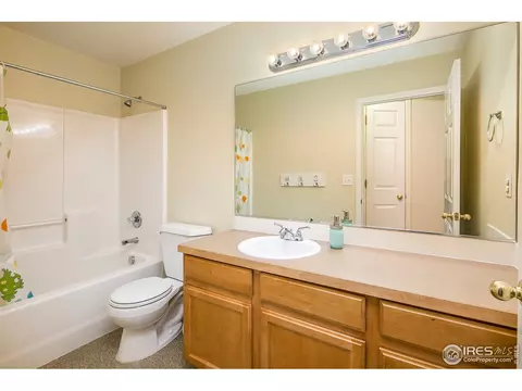 95 Arapaho St, Severance, CO 80550 photo 21