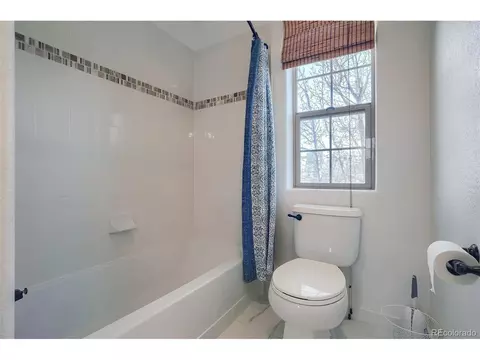 10174 E 29th Dr, Denver, CO 80238 photo 15
