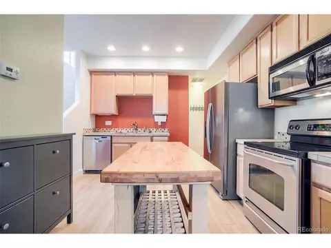 10174 E 29th Dr, Denver, CO 80238 photo 9